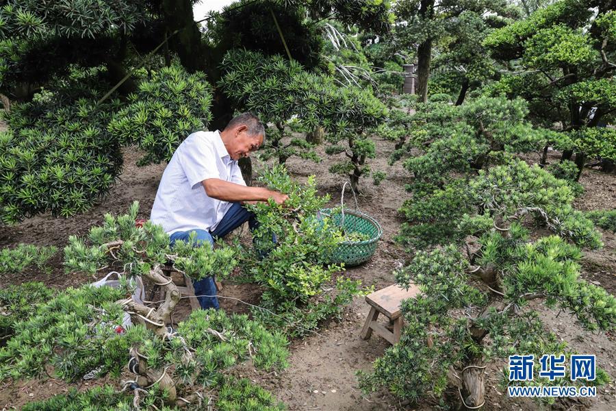 江苏科技环保配件销售，引领绿色产业新潮流