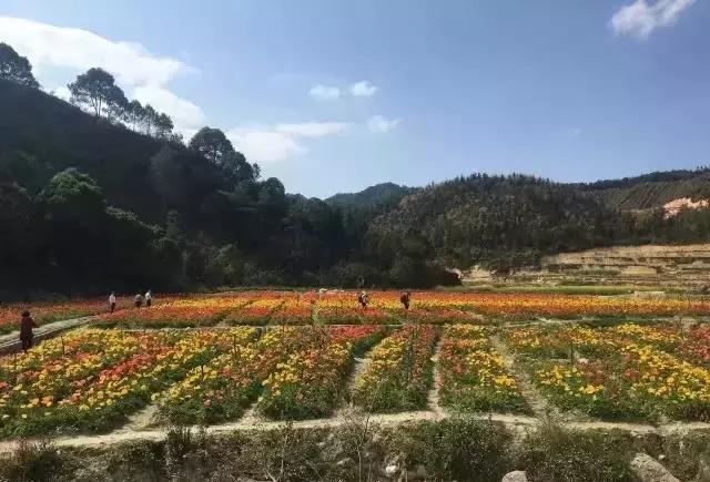 广东省龙门县地派镇，历史底蕴与现代魅力的交融之地