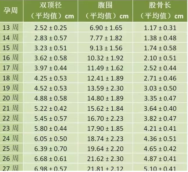 探究孕程七个月的胎宝宝体重发展