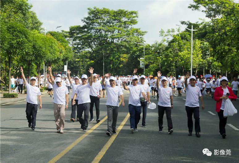 江苏北岛科技，引领科技创新的先锋力量