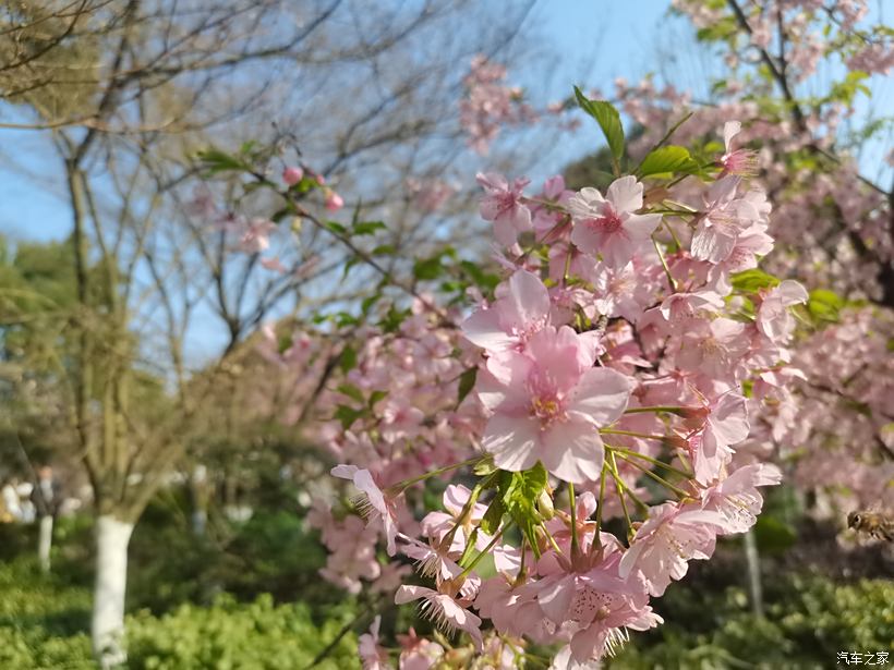 春天有几个月——探寻春天的奥秘