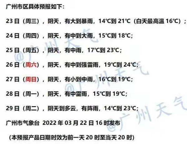 广东省防雷减灾中心，守护安全的坚实后盾