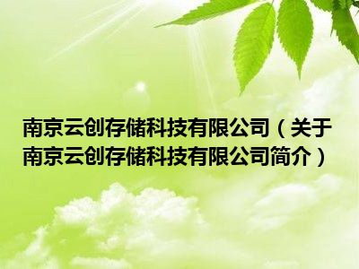 江苏云储科技公司，引领科技前沿，开启智能新纪元