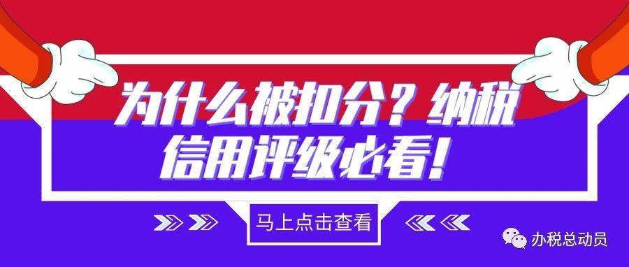 广东省纳税信用评级管理，构建诚信税收环境的探索与实践