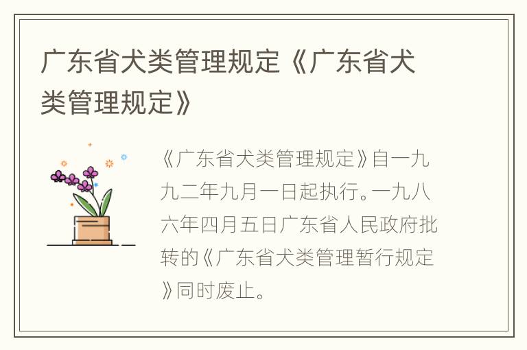 广东省养犬管理难题的挑战与解决策略