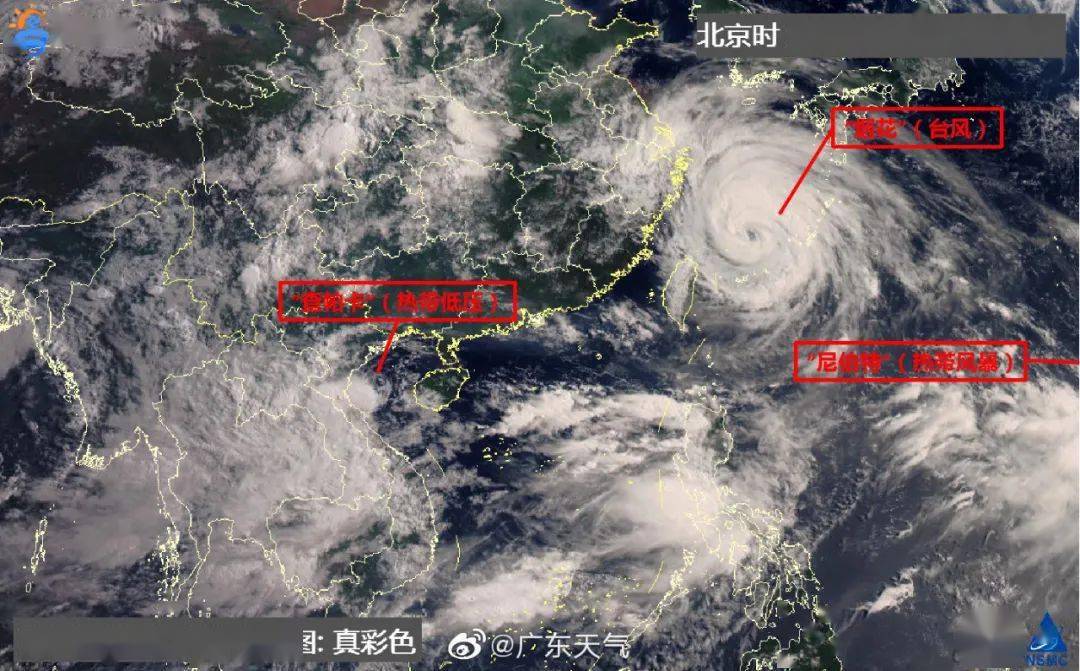 关于即将到来的8号台风对广东省的影响