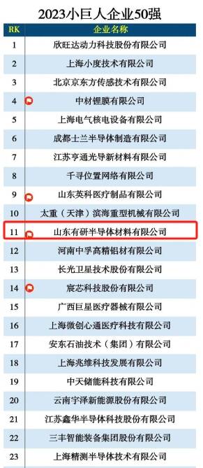 江苏科技小巨人企业排名及其影响力分析