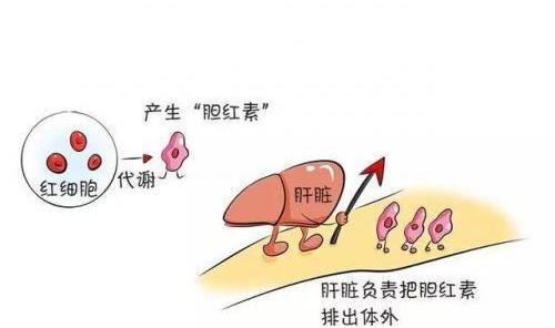 母乳九个月还有营养吗，深度解析母乳的营养价值与持续性