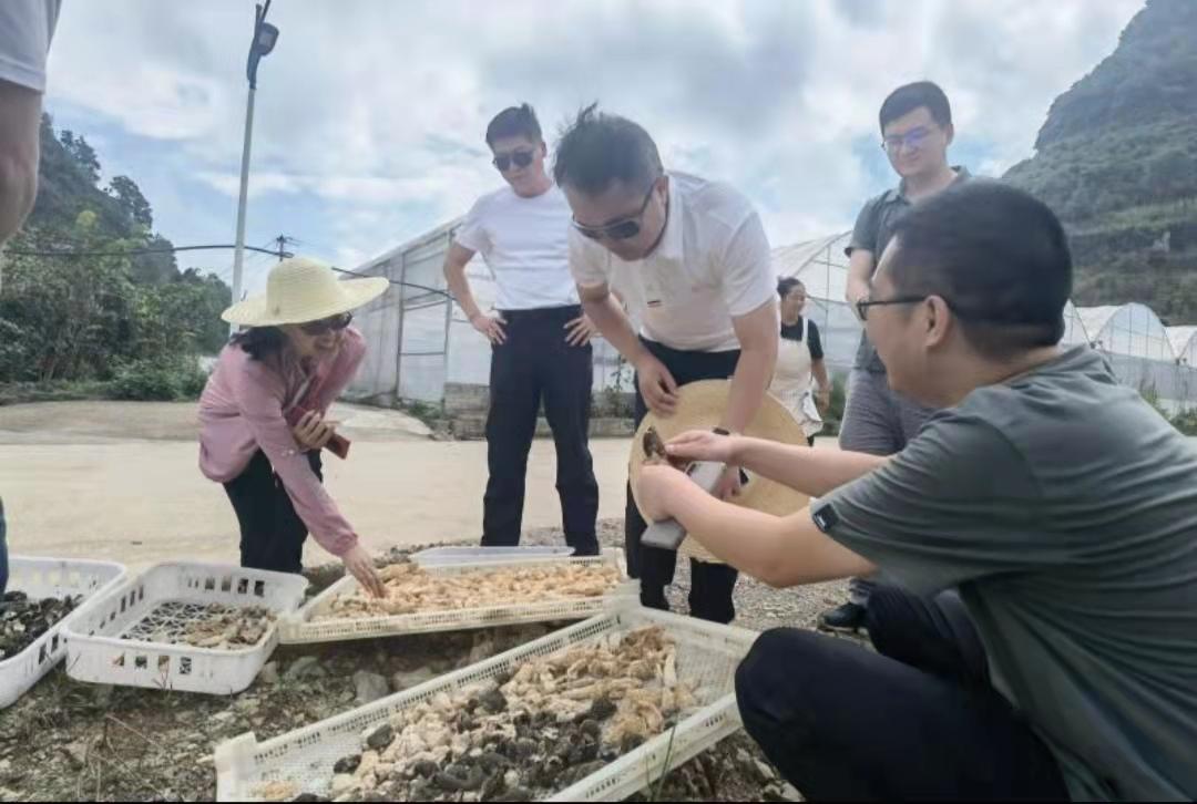 广东省惠州市艺术学校，孕育艺术人才的摇篮