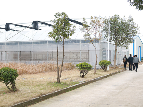 广东湘隆生态有限公司，生态建设的先锋力量