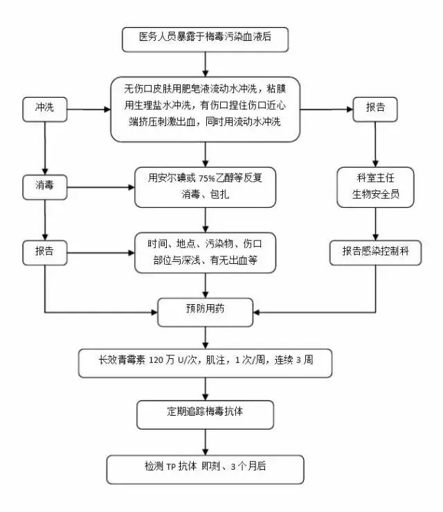 广东省抗原采购流程详解