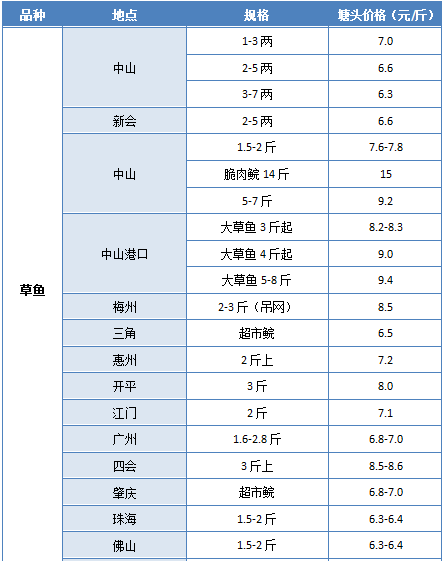 广东省口腔耗材市场的发展与展望