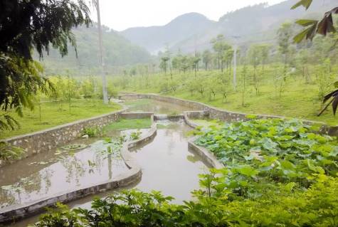 广东省陆河人，乡土情怀与奋发向前的生活印记