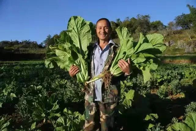 江苏云仙科技，引领科技创新的先锋力量