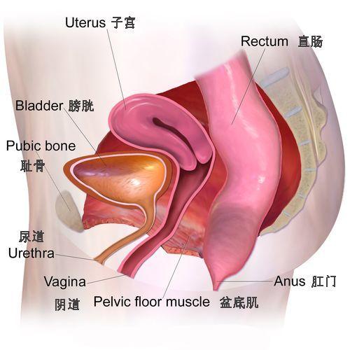 产后三个月腰疼，原因、预防与治疗方法