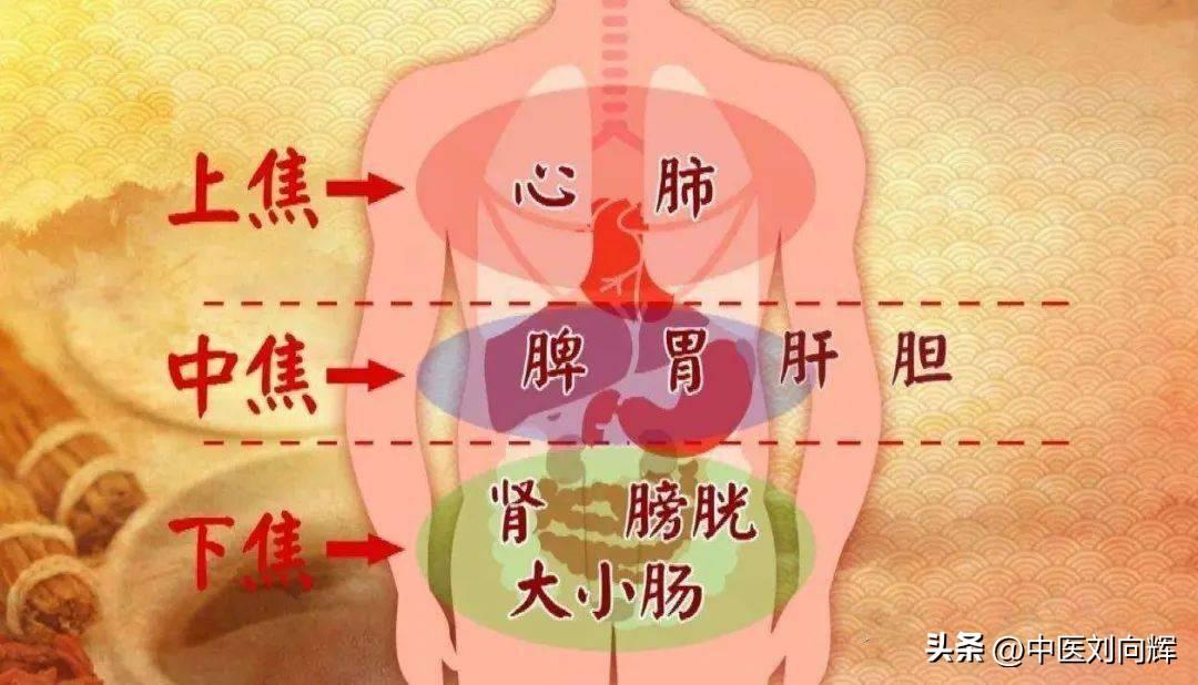 吃一个月六味地黄丸，体验与效果分析