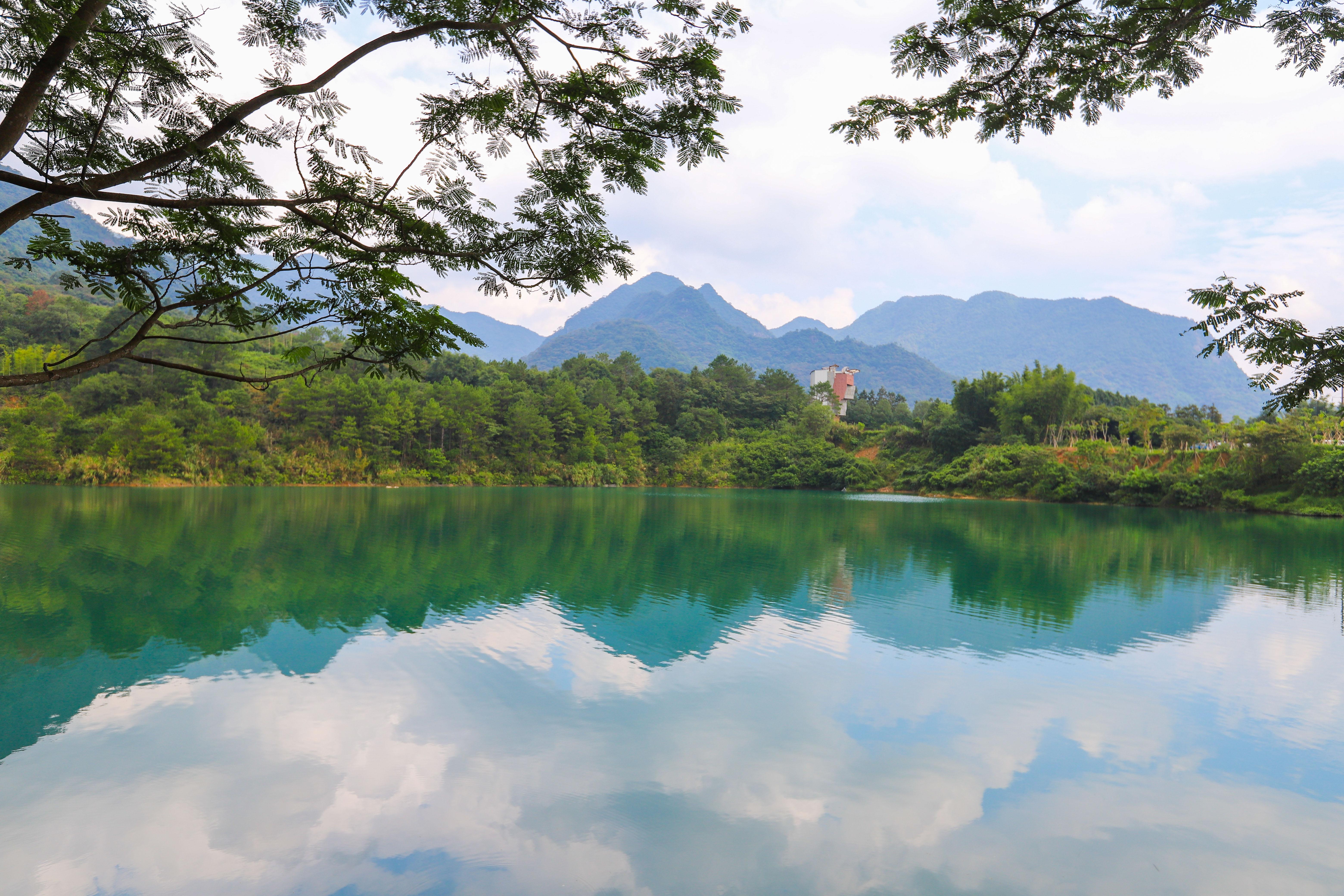 广东省平湖天气，多样性与变化之美