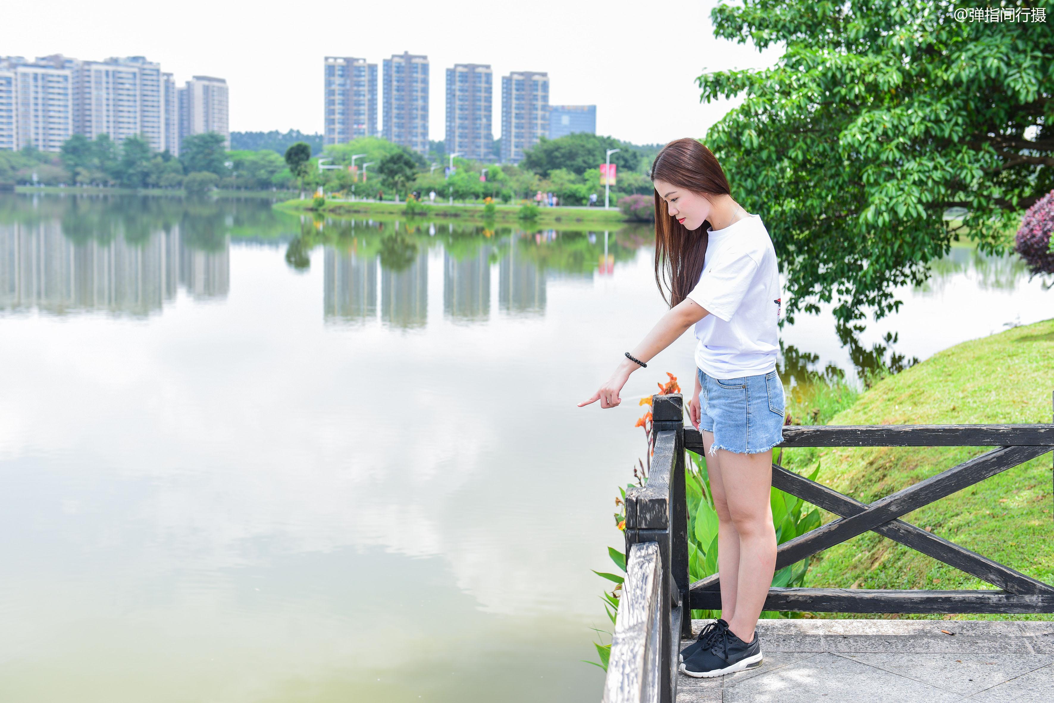 广东省绿道建设情况概览